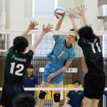 関東大学バレーボール男子1・2部入替戦 関東大学バレーボール男子1・2部入替戦