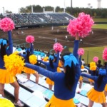 第７８回秋季関東地区高校野球大会 準決勝